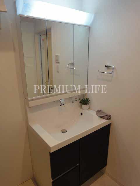 Wash basin, toilet. Bathroom vanity