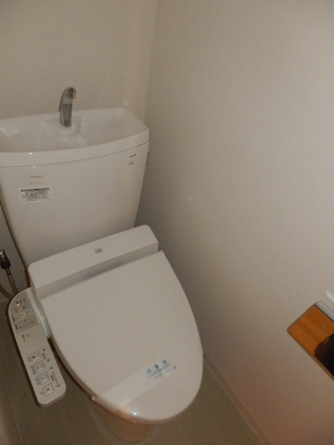 Toilet. Toilet with cleanliness