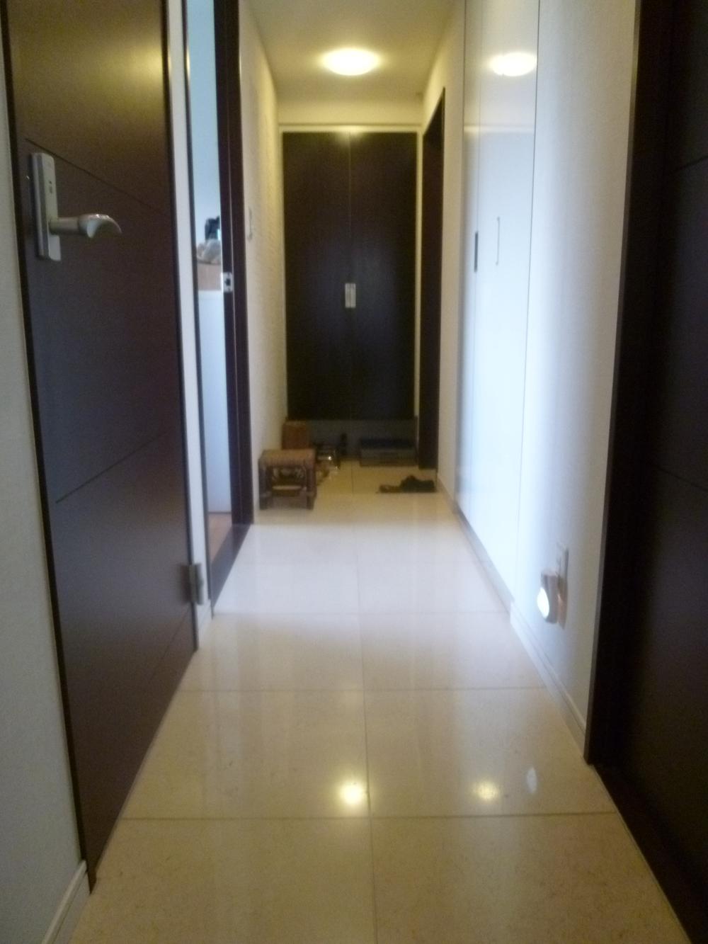 Entrance. Marble paste of the corridor