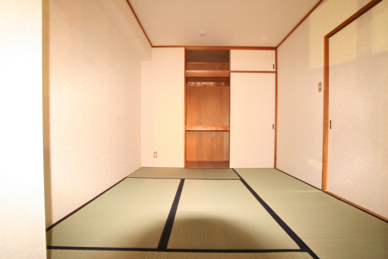 Living and room. Interior before Another room reference photograph