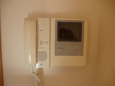 Security. TV Monitahon