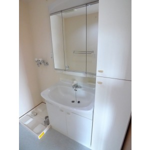 Washroom. Independent wash basin