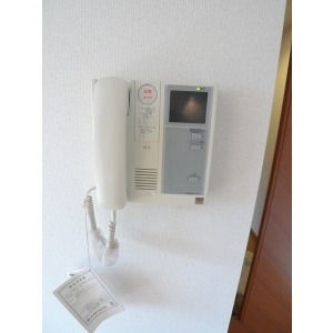 Security. With TV monitor intercom