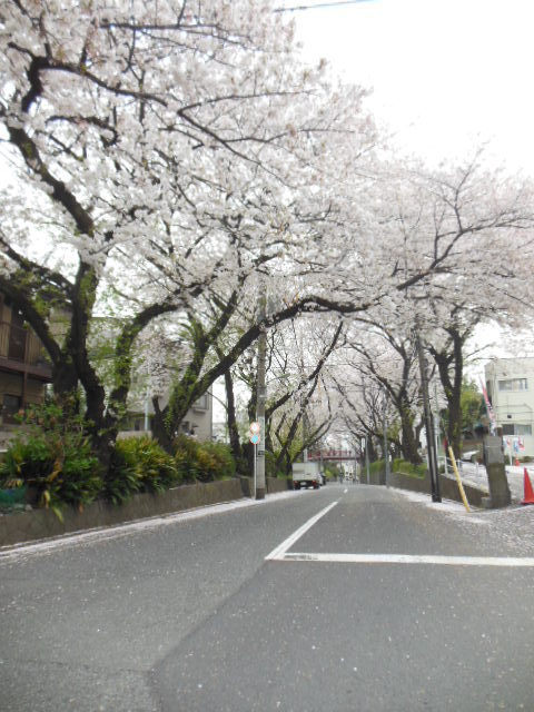 Other. Sakurazaka (other) up to 200m