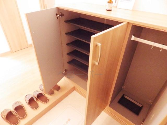 Entrance. Footwear purse