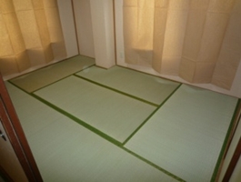 Other room space. Is a Japanese-style room