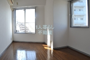 Other. Bright in the two-sided lighting