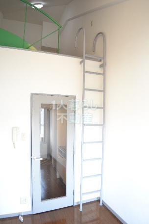 Other. Go loft with ladder