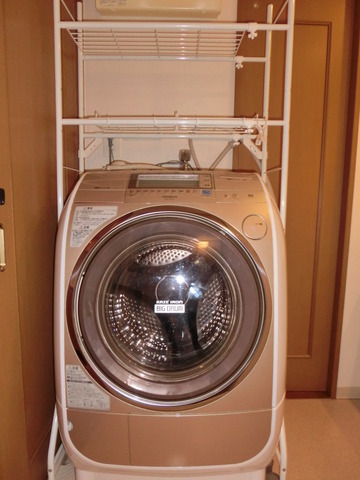 Other. Drum-type washing machine (performance guarantee exclusion)
