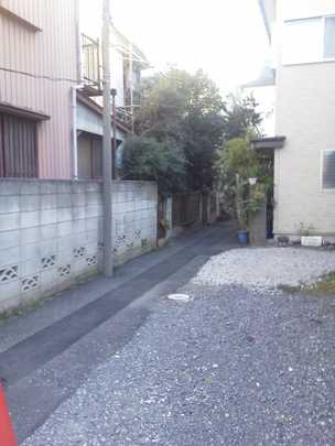 Local land photo. West driveway part