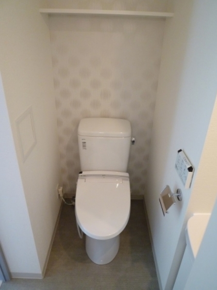 Toilet. Warm water washing toilet seat