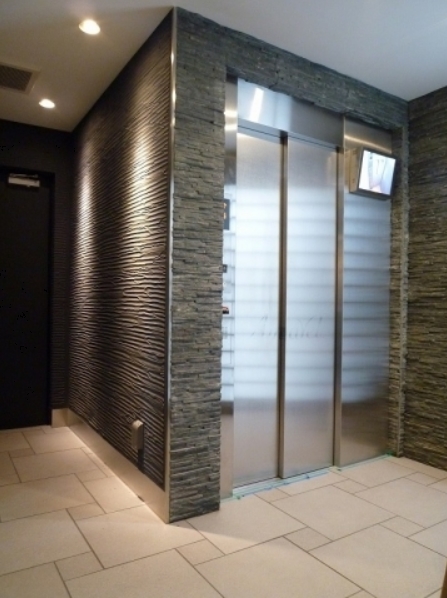 Other common areas. elevator hall