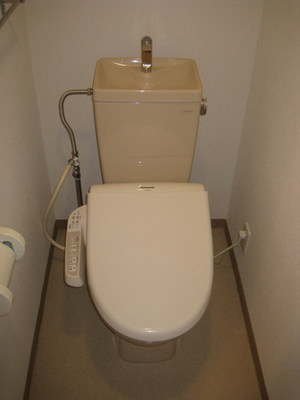 Toilet. Bidet