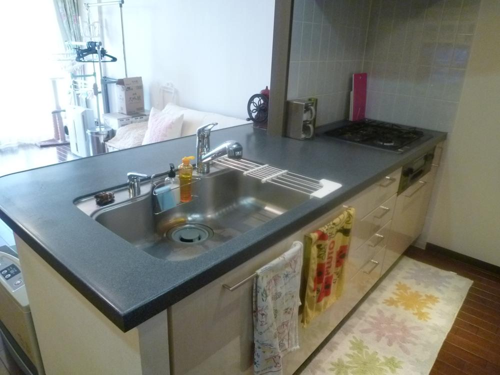 Kitchen. Spacious kitchen counter