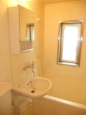 Washroom. Wash basin