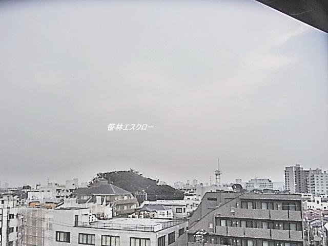 View photos from the dwelling unit. View from local