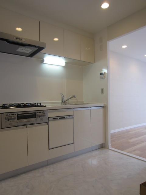 Kitchen. Dishwasher dryer System kitchen