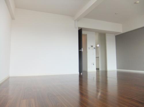 Living. Indoor (September 2013) Shooting