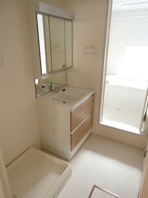 Washroom. Shampoo dresser Undressing space