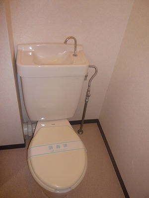 Toilet. Toilet