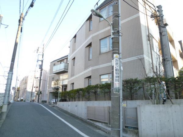 Local appearance photo