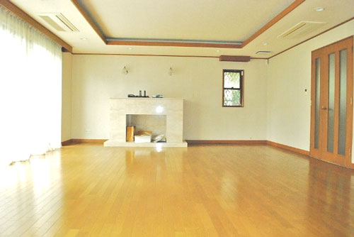 Living and room. Living decorative fireplace