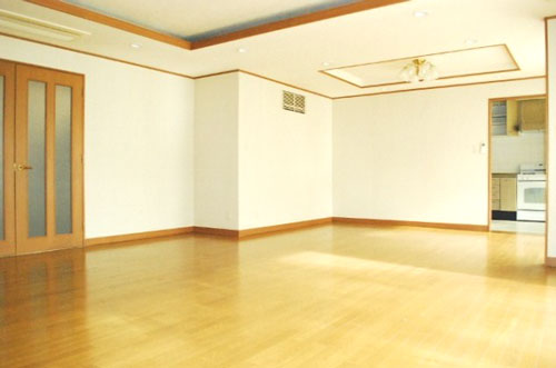 Living and room. Living