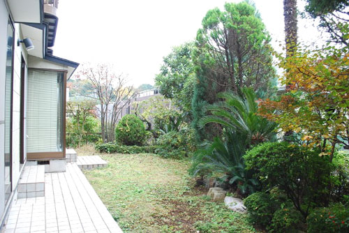 Garden. It is your garden