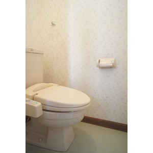 Toilet. Warm water washing toilet seat