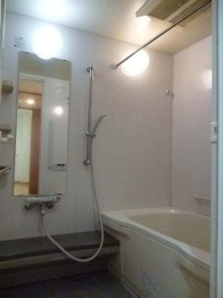 Bathroom. Indoor (12 May 2013) Shooting