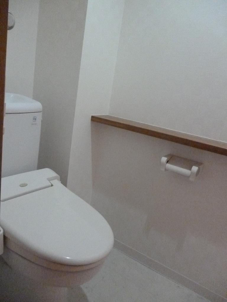 Toilet. Indoor (12 May 2013) Shooting