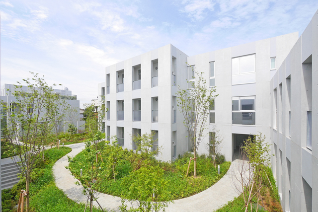 Garden. Lovely courtyard patio of shared space