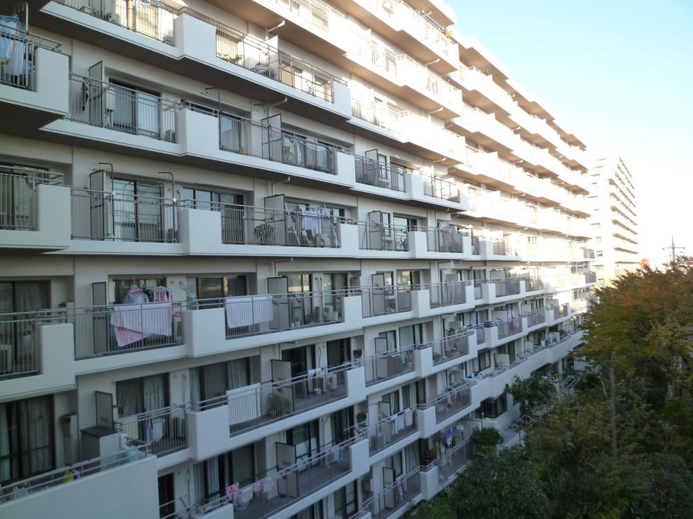 Local appearance photo. Local (11 May 2013) Shooting