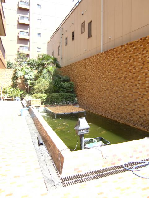 Other common areas. Communal area of ​​the garden-style that can feel the sum. The pond swimming carp.
