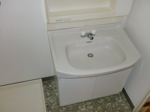 Washroom. Separate reference photograph