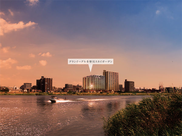 Features of the building. Exterior - Rendering