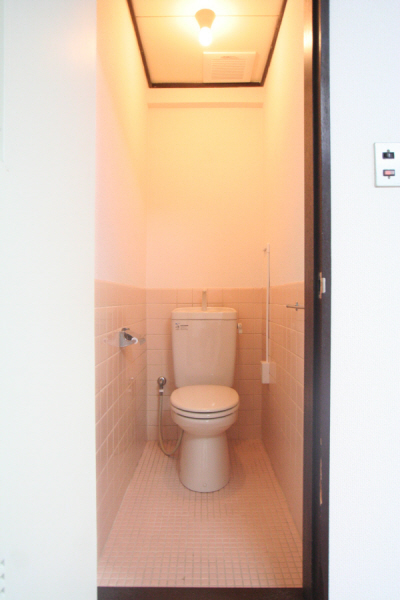 Toilet. With heating toilet seat