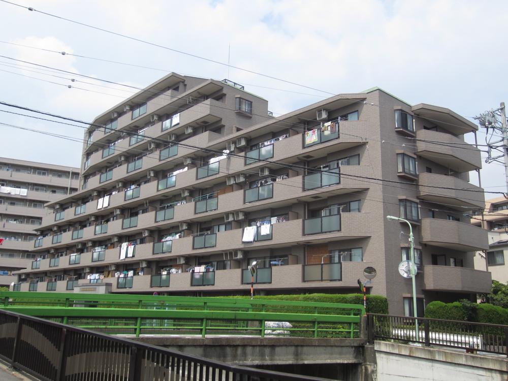 Local appearance photo. Appearance (October 2013 shooting)