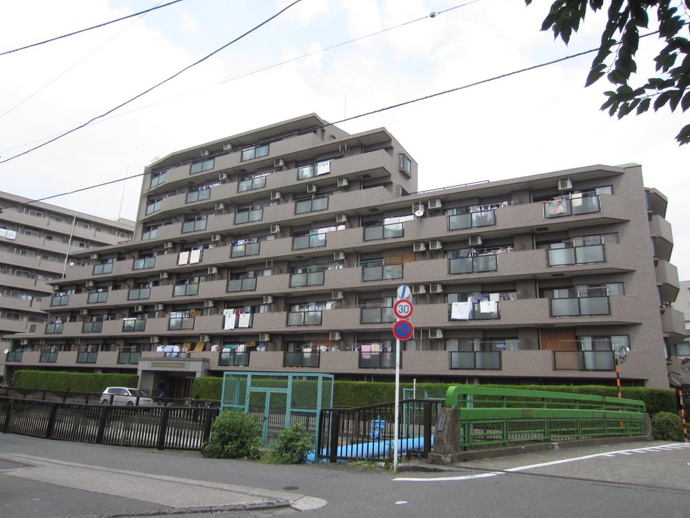 Local appearance photo. Appearance (October 2013 shooting)