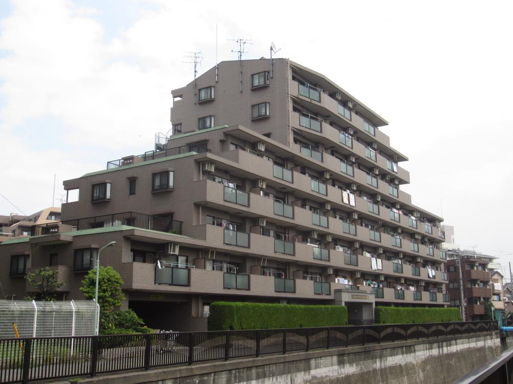 Local appearance photo. Appearance (October 2013 shooting)