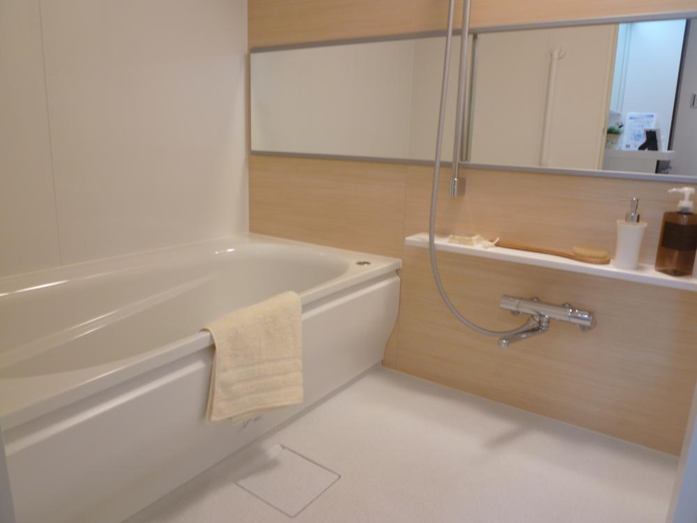 Bathroom. Indoor (10 May 2013) Shooting