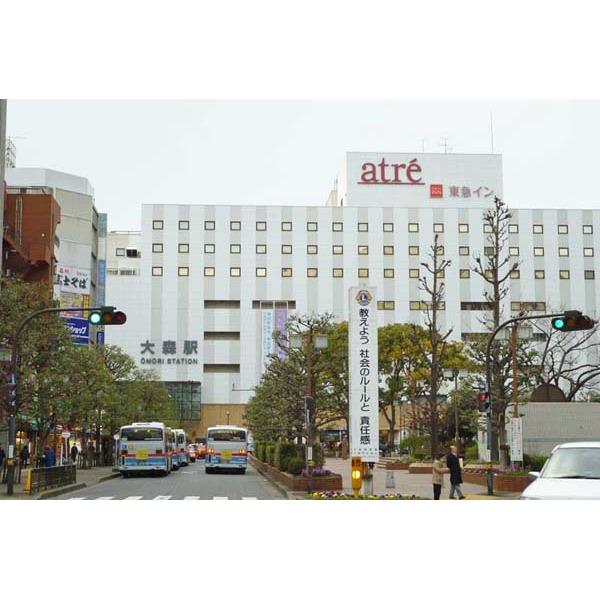 Shopping centre. Daishin until the department store 666m