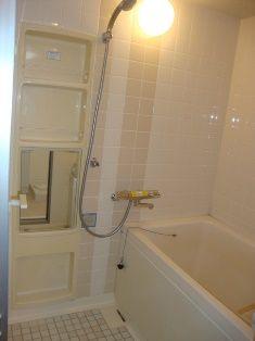 Bathroom. ~ New interior renovation completed ~