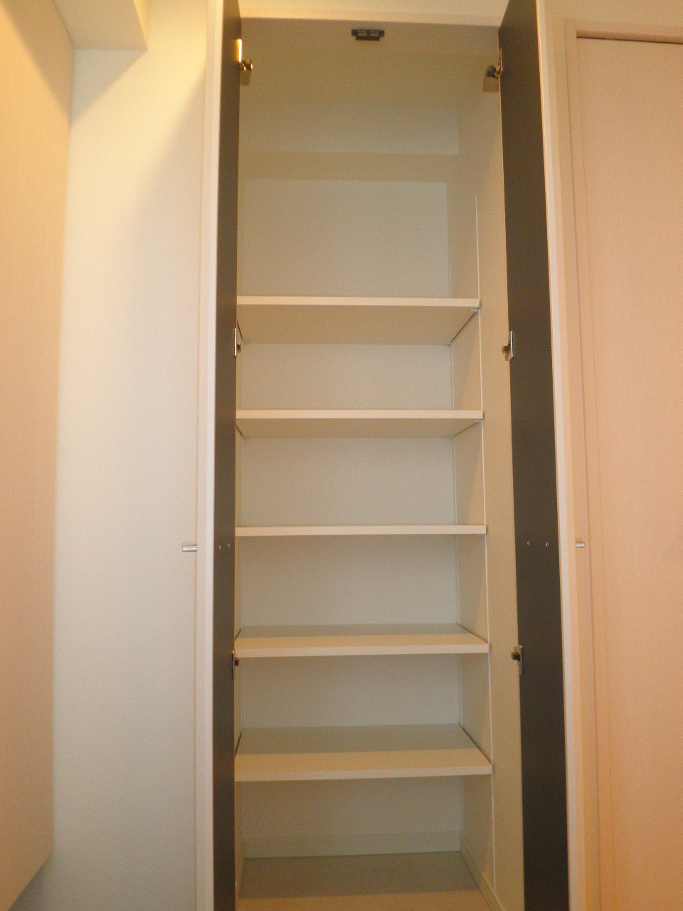 Entrance. Entrance storage