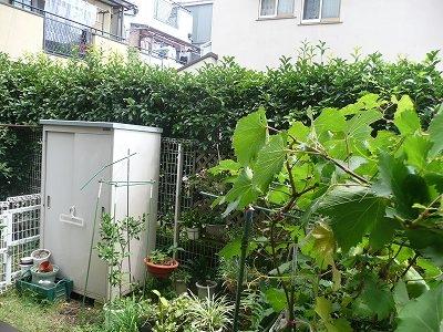 Garden. Private garden