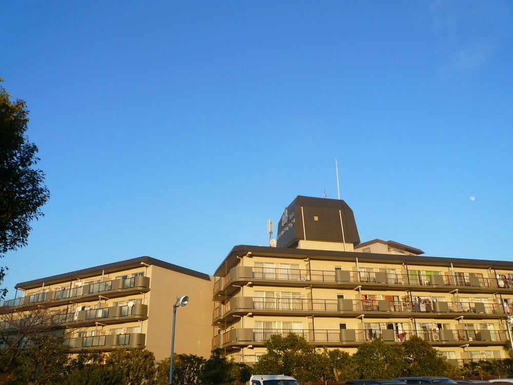 Local appearance photo. Local (12 May 2013) Shooting