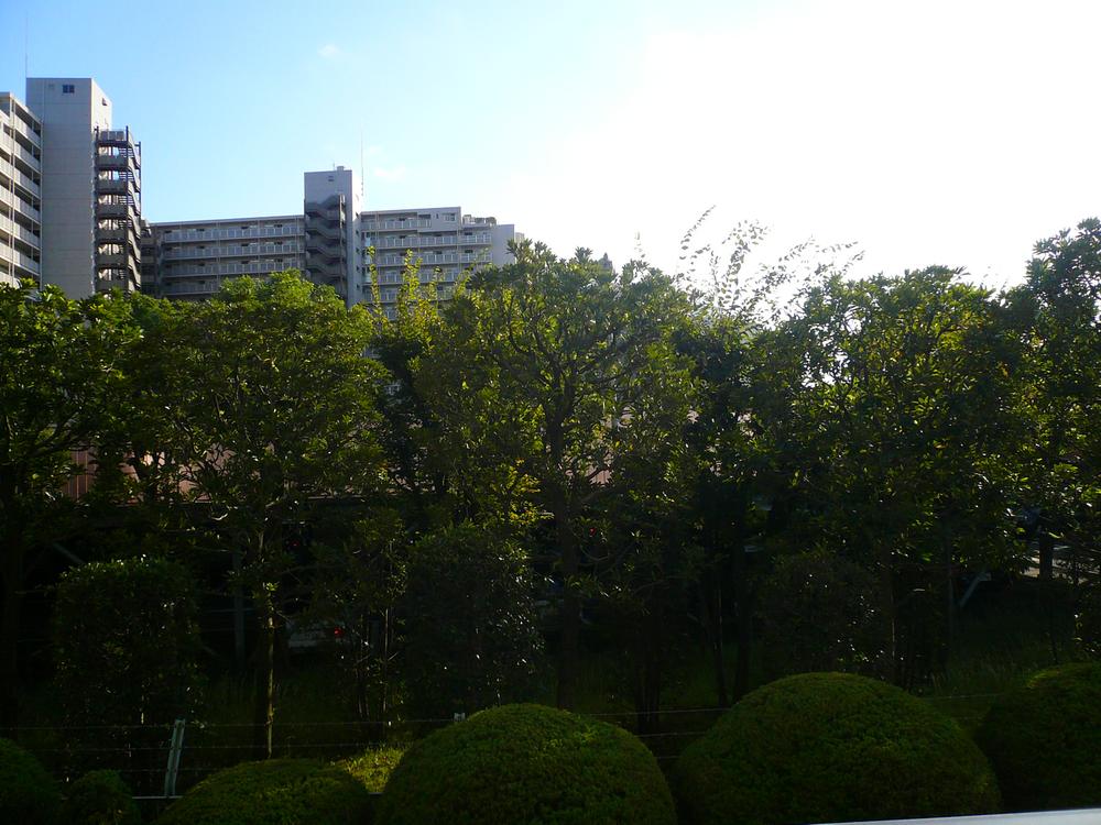 View photos from the dwelling unit. View from the site (December 2013) Shooting