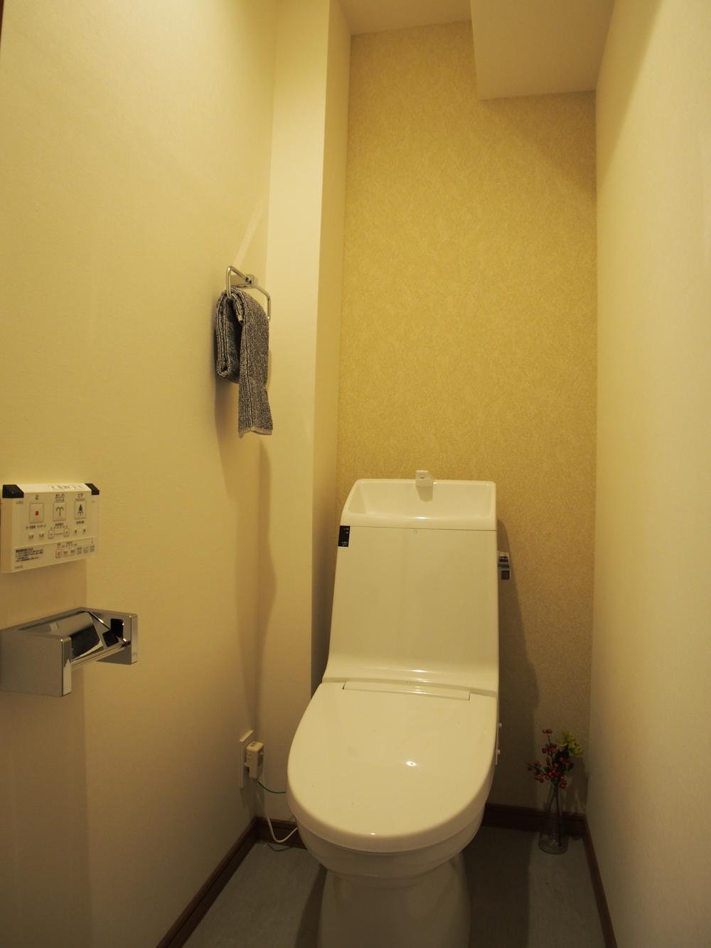 Toilet. Indoor (January 2014) Shooting