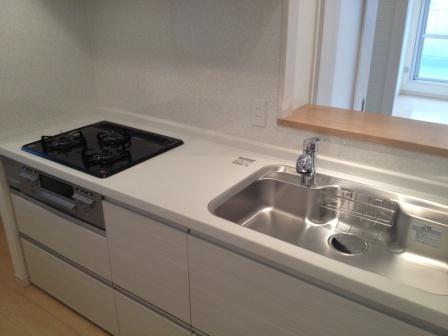 Kitchen. Indoor (12 May 2013) Shooting