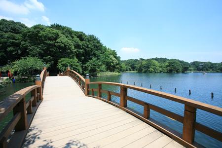 park. 450m until Senzokuike park